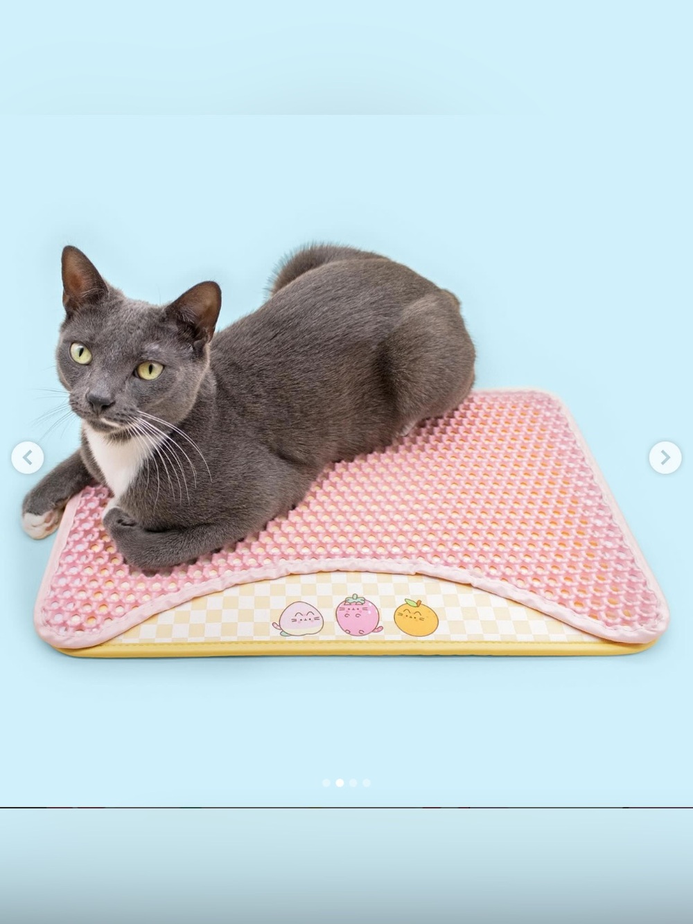 ✨NWOT✨ Pusheen Pink Cat Litter Mat with Fruit Character Trim